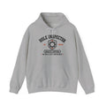 The Hole Inspector Front Graphic Hoodie